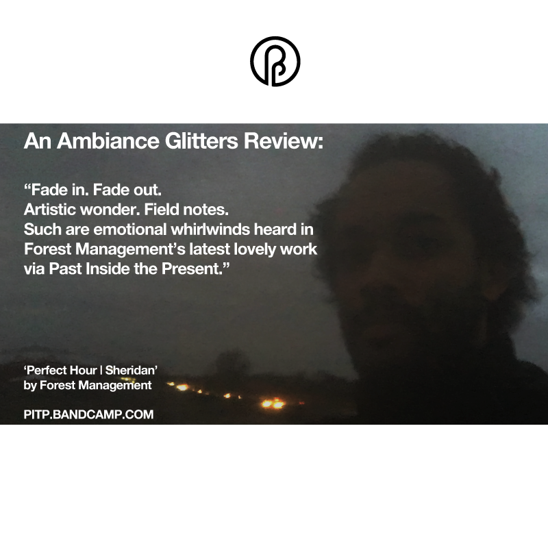 Forest Management John Daniel Past Inside the Present - Ambient Music Label and Blog