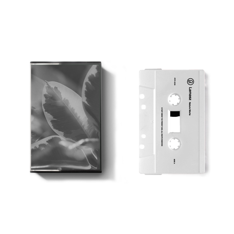lamasz past inside the present label PITP ambient drone hsp cassette