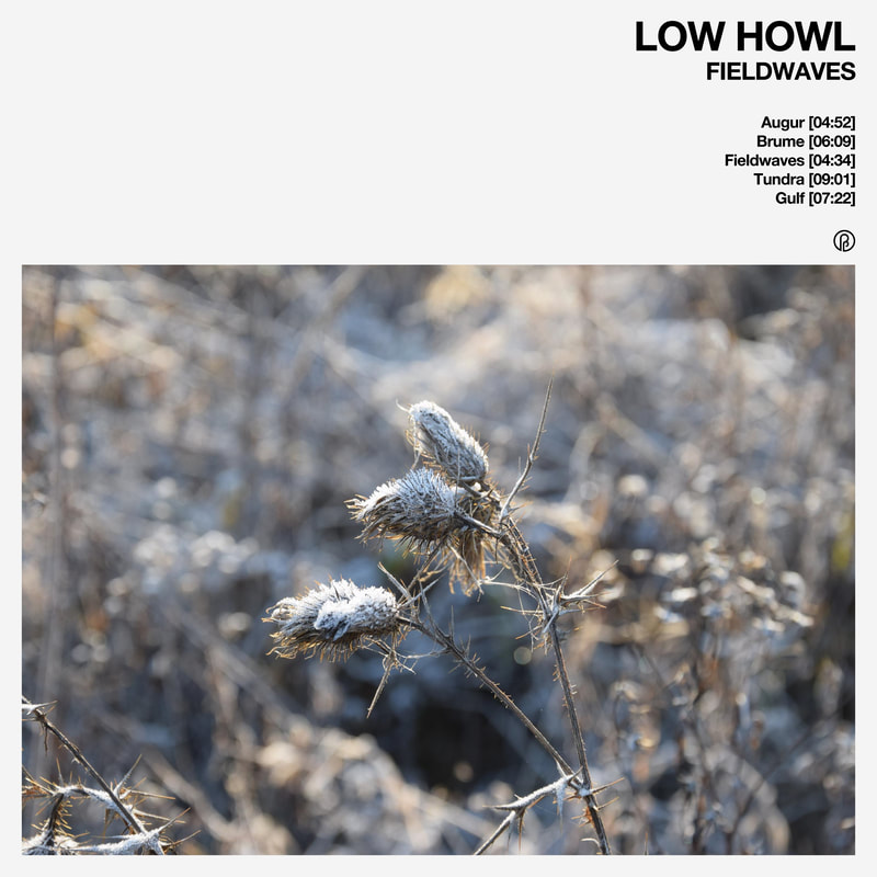 low howl dylan wilson prevails indianapolis past inside the present pitp label records ambient drone cassette