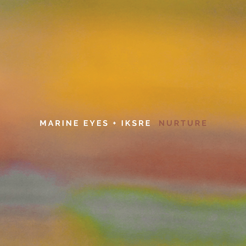 marine eyes iksre nurture vinyl lp pitp past inside the present pitp ambient drone cynthia bernard phoebe dubar cover