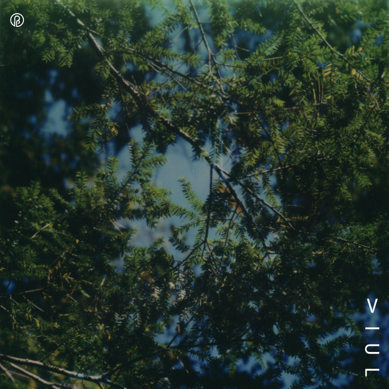 viul-benoit-pioulard-past-inside-the-present-pitp-label-records-ambient-drone_orig
