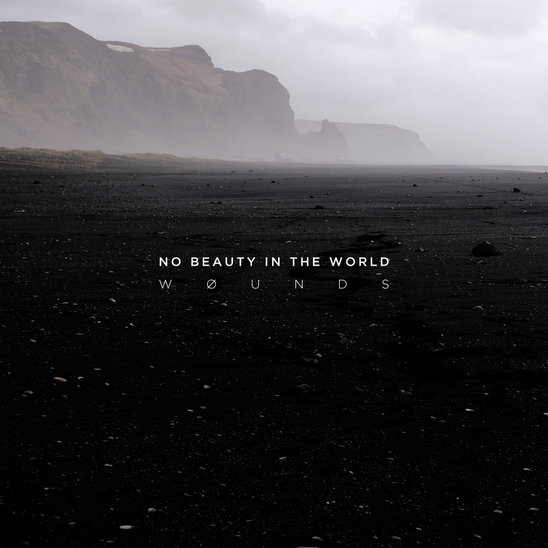 wøunds No Beauty In The World wounds past inside the present pitp ambient drone label vinyl lp 2022 wounds